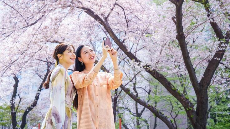 le-hoi-anh-dao-hanami-3 (1).jpg